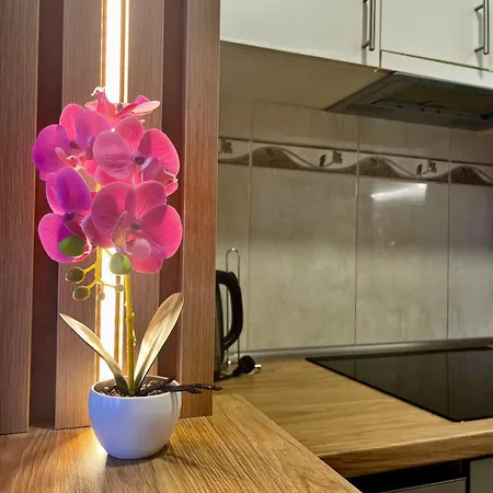 Premium Fair - Fast Wifi Appartement