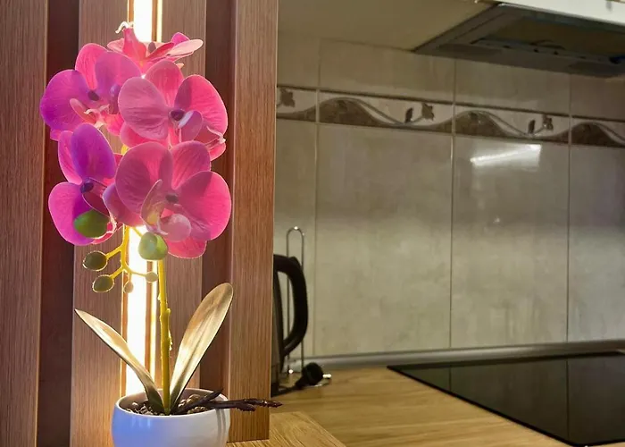 Premium Fair - Fast Wifi Apartman